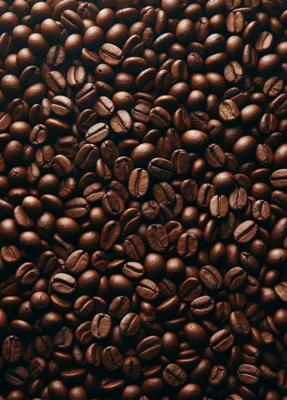 asesorias-insumos-medicos-tramites-cosmeticos