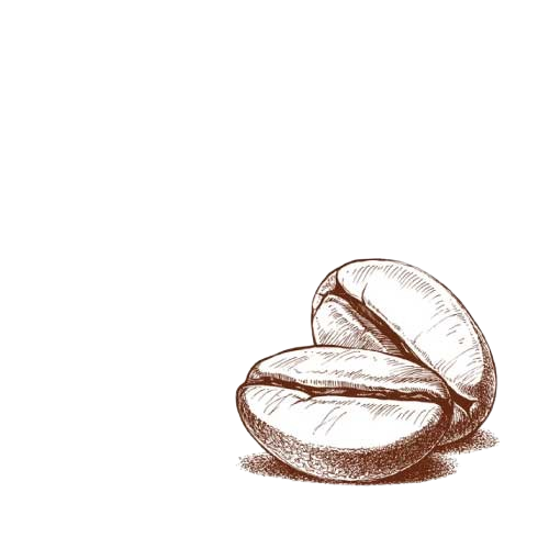 asesorias-quimica-farmacia-removebg-preview